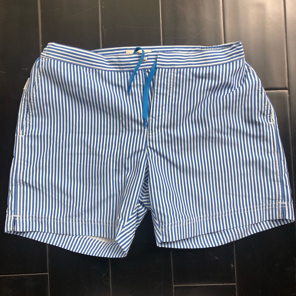 Bluemint swim trunks